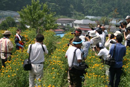 写真：紅花畑での写真撮影会