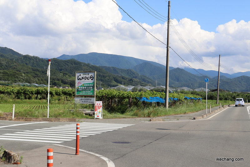 写真：天童紅花まつりの看板