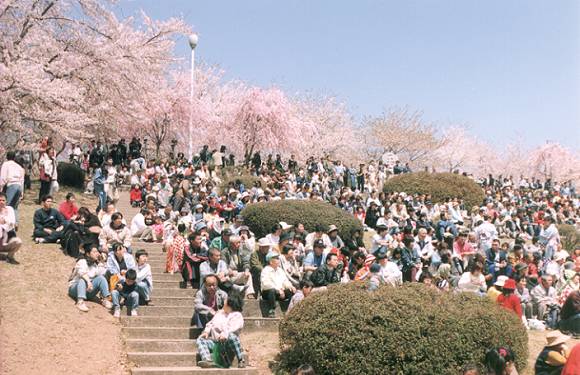 Many visitors (Ningen Shogi)