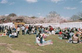 Flower viewing visitors