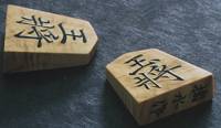 Shogi pieces