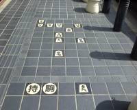 Tsume Shogi