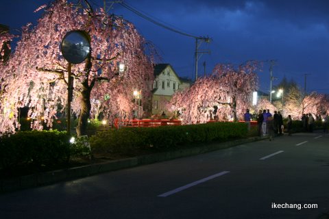 写真：倉津川ライトアップ(2009/04/15)