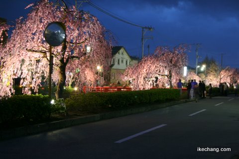 写真:倉津川ライトアップ(2009/04/15)