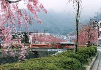 River side of Kuratsu-Gawa