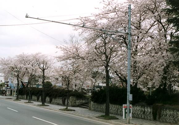 Oinomori Park