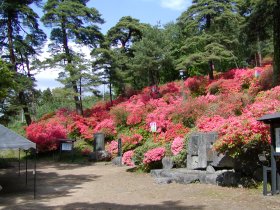 park of azalea