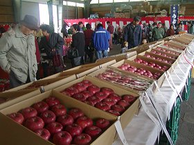 第27回ふじ果実品評会