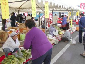 写真:野菜直売の様子(第21回天童市農業まつり)