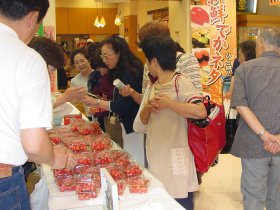 写真:土浦駅西口「ウララ」地下1階特設会場での様子