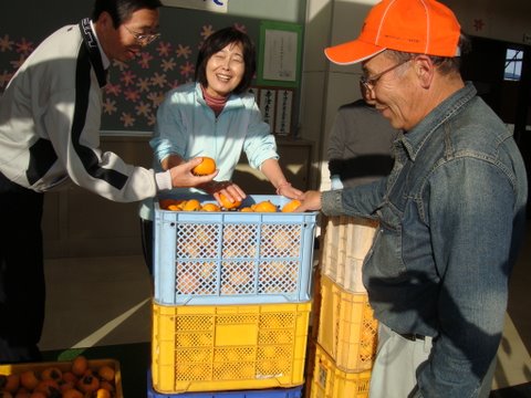 写真:収穫した柿を寺津小学校へ