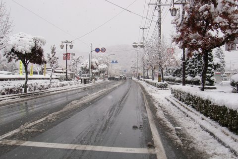 写真:積雪に見舞われた天童市役所周辺