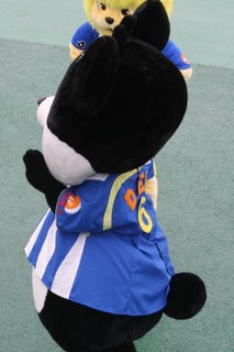 写真:でんちゃん後姿