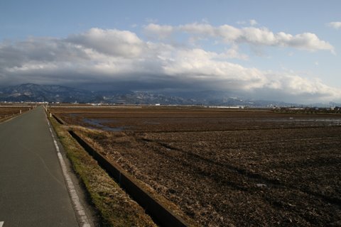 写真:雪が消えた田んぼ