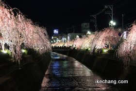 ̿饤ȥåפ줿Υ쥶Ȱ߲