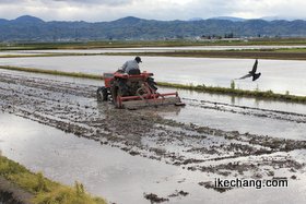 写真：トラクターでの水田のしろかき