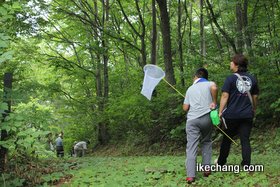 写真：昆虫を探して森を歩く参加者たち（天童高原夏休み親子体験教室 昆虫採集と巣箱づくり）