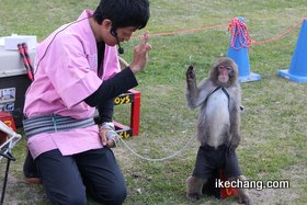 写真：調教師と一緒にポーズを決める猿（天童桜まつりに猿回しが登場中！）