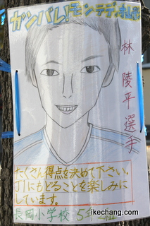 ̿ʿλ鳨