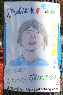 ̿Ƹλ鳨