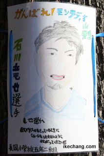̿ελ鳨