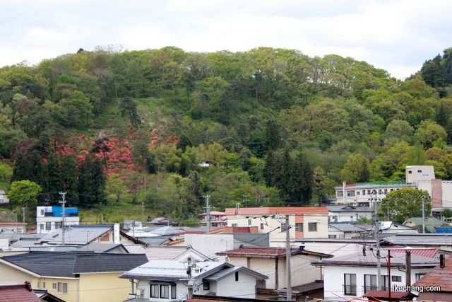 写真：舞鶴山西側から眺めた様子