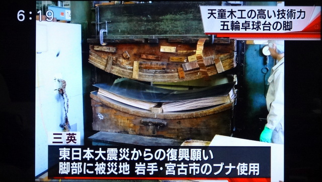 写真：成形合板の材料に宮古市のブナを使用（YTSニュースより）