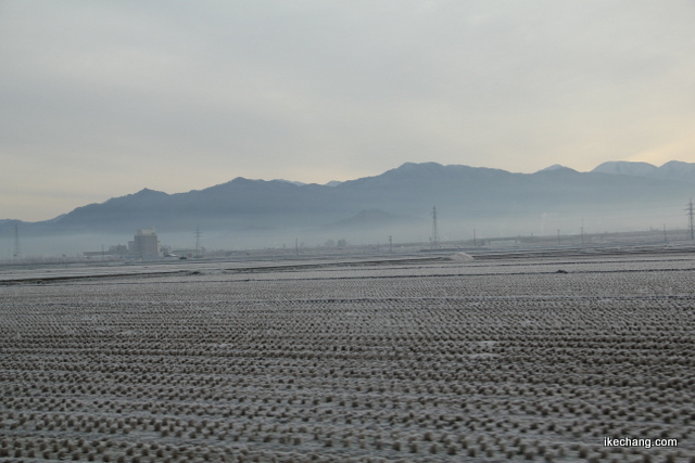 写真：霜が降りた天童市西部地域のたんぼ