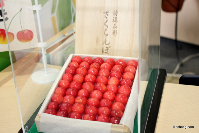 写真：天童市役所に展示された超促成栽培さくらんぼ