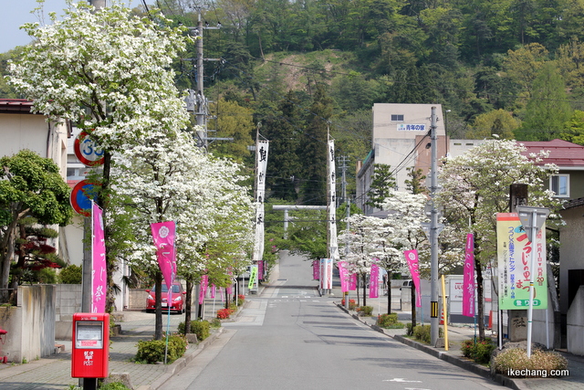 写真：建勲神社へ通じる道路