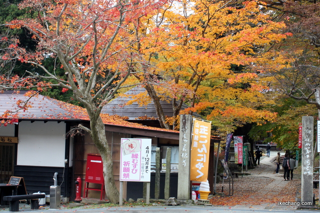 写真：若松寺の入口（若松寺）