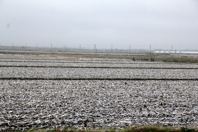 写真：初雪で白くなった田んぼ