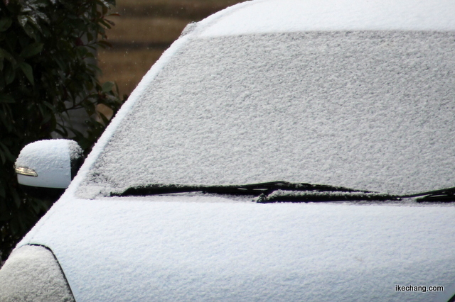 写真：雪で真っ白になった車