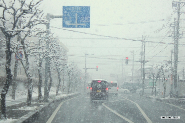 写真：大粒の雪が降る天童市民病院前
