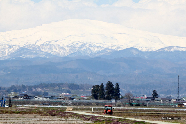 画像：農作業が始まった田んぼと白く輝く月山