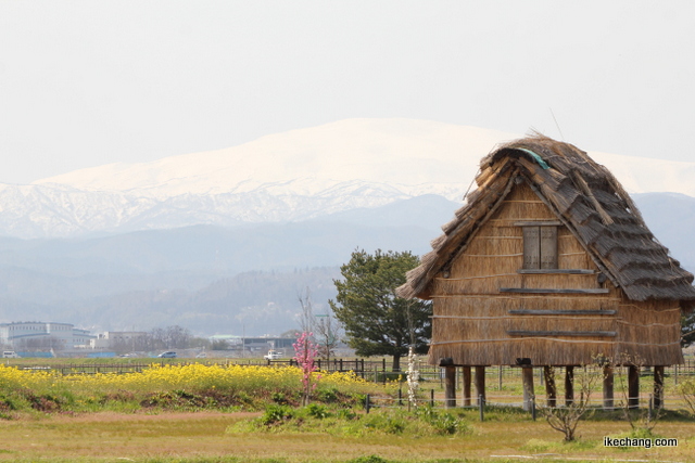 画像：西沼田遺跡と月山