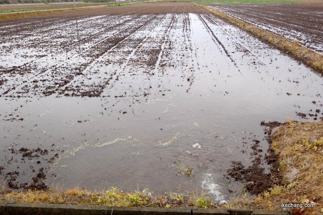 画像：田起こしが終わり、水が張られる田んぼ