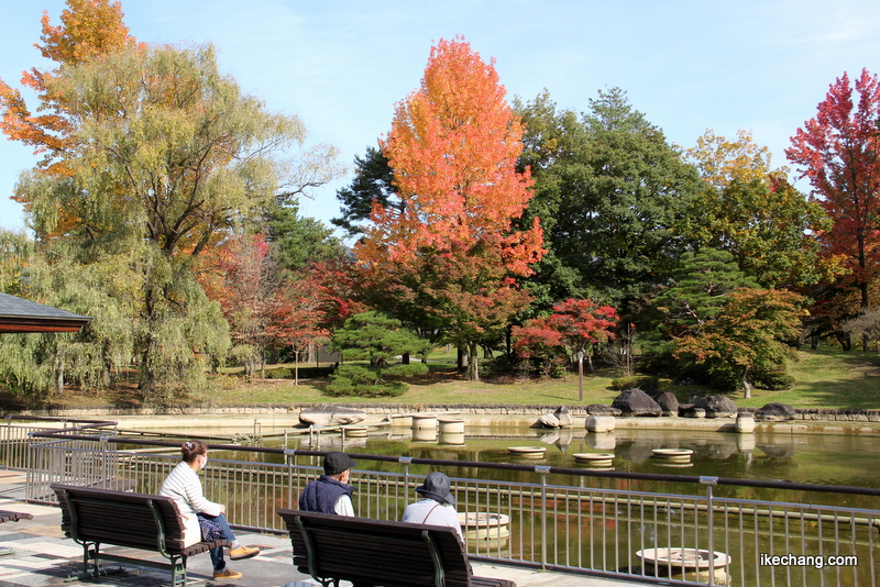 画像：「虹の池」のまわりも色づいています（山形県総合運動公園）