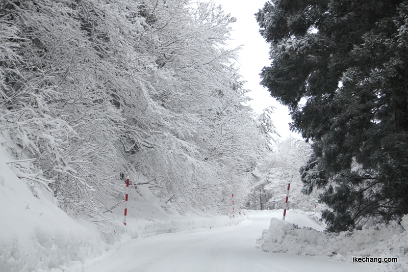 画像：天童高原に向かう雪が積もった道路