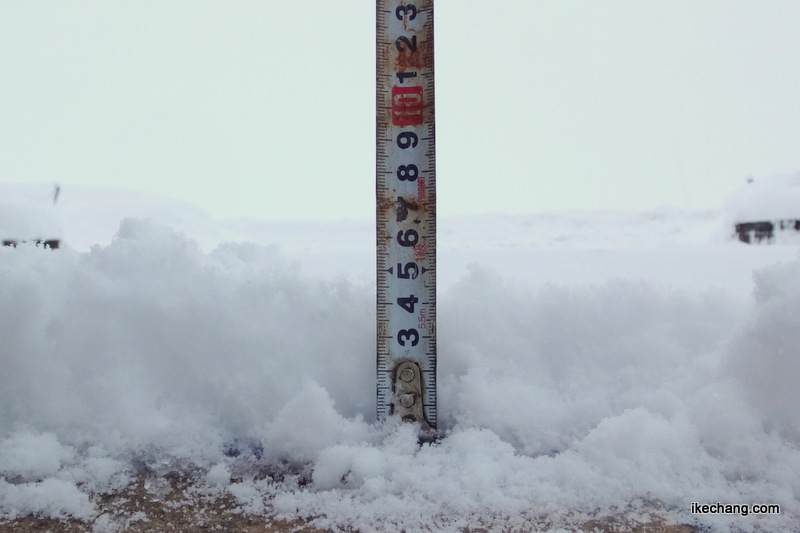 画像：1月1日から2日にかけての降雪量は5センチ