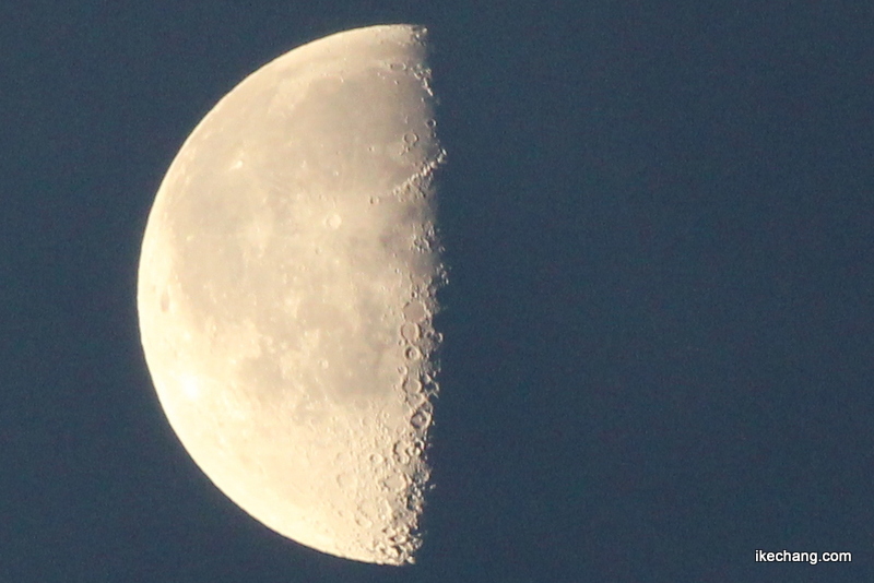 画像：頭上に輝く下弦の月