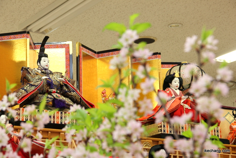 画像：天童市観光情報センターの雛飾りと啓翁桜