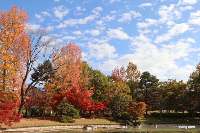 写真：山形県総合運動公園の噴水池