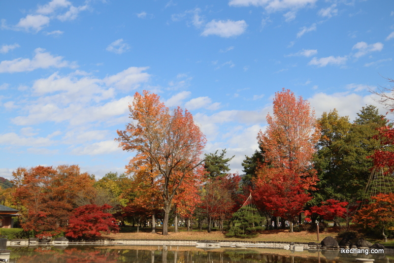 写真：山形県総合運動公園の噴水池