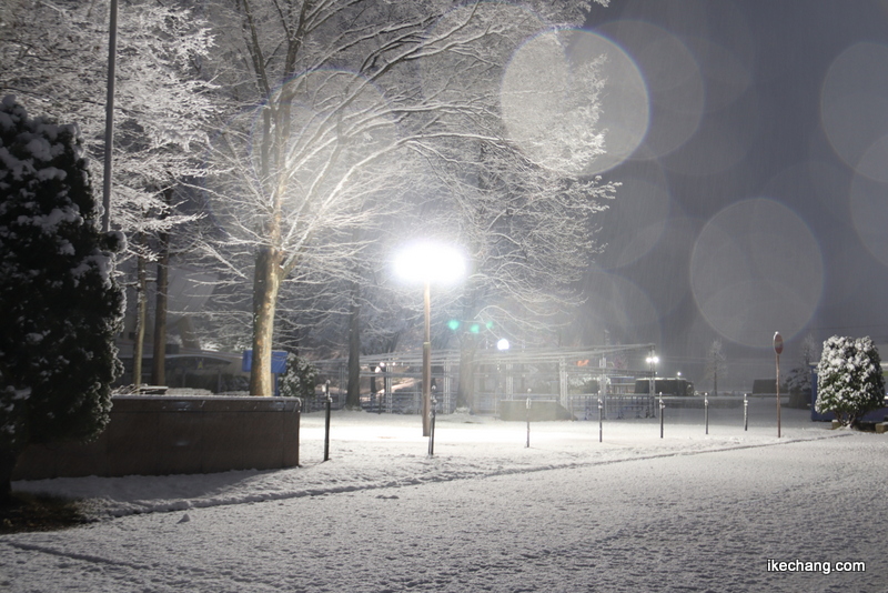 写真：うっすらと積もった雪が園内の照明に照らされています