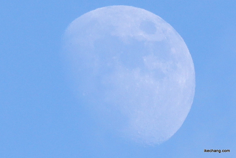 写真：青空に浮かぶ月齢9.9の白い月