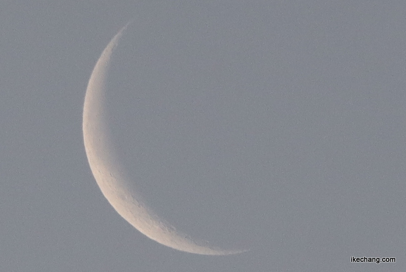 写真：月齢26.5の細い月