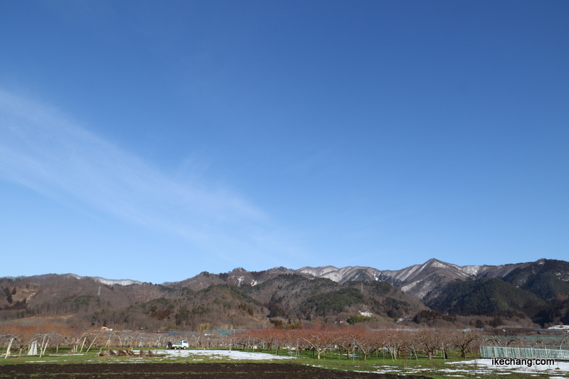 画像：青い空と白い山と果樹畑