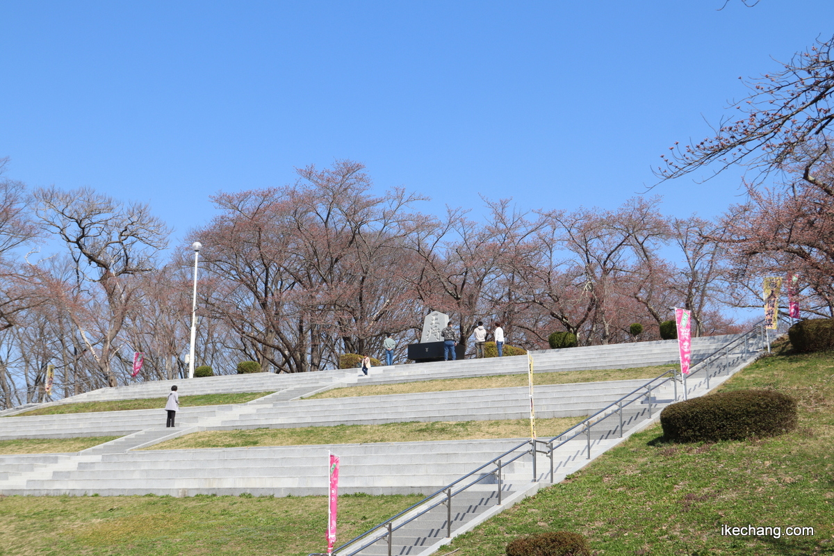 写真：舞鶴山山頂広場に設置された将棋塔