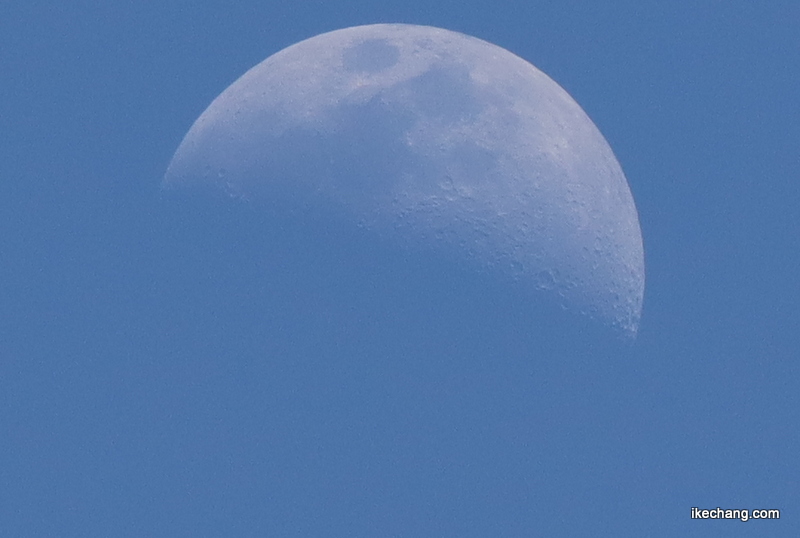 写真：月齢7.1の白い月